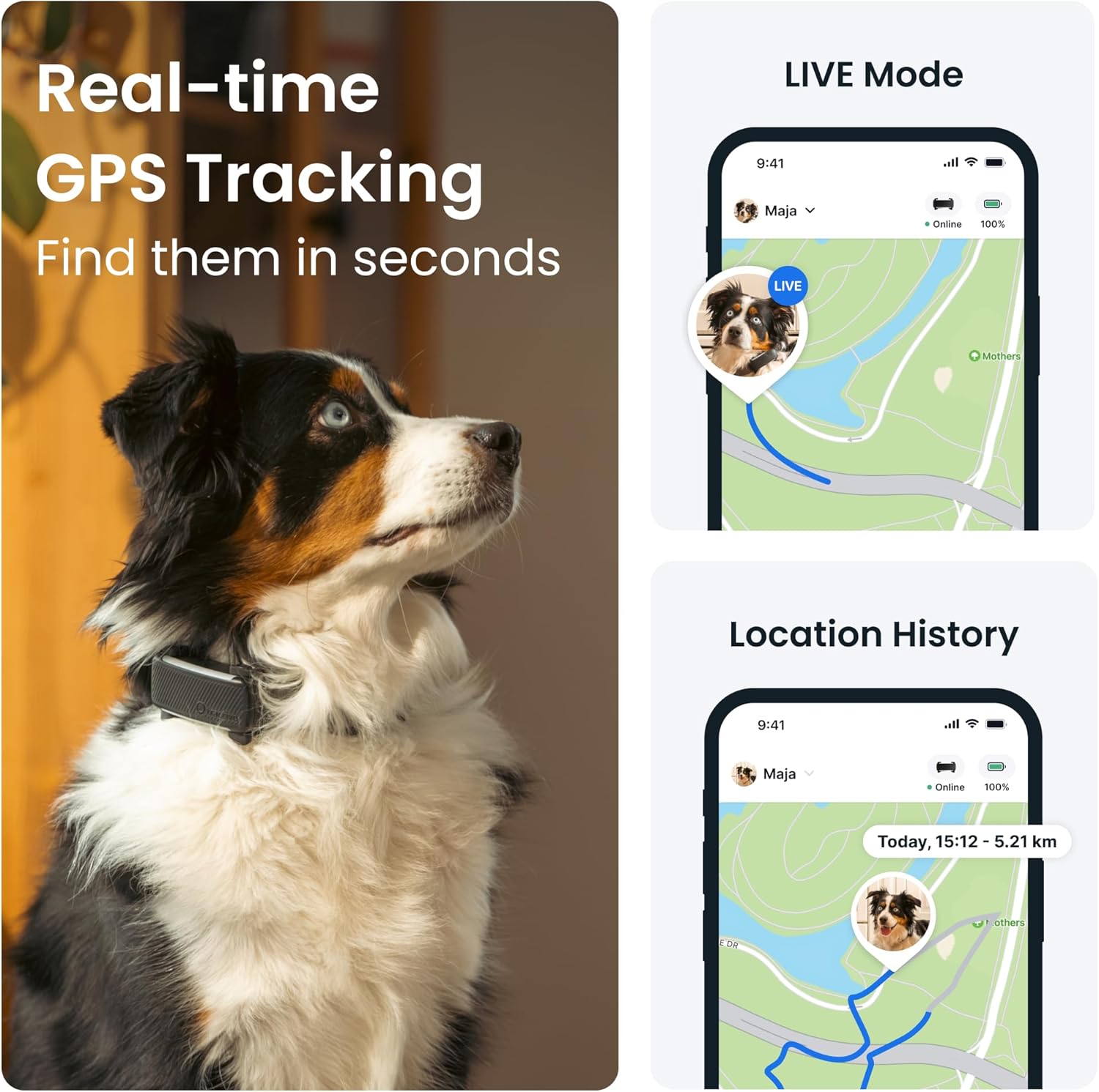 Tractive GPS Dog Tracker - Image 4