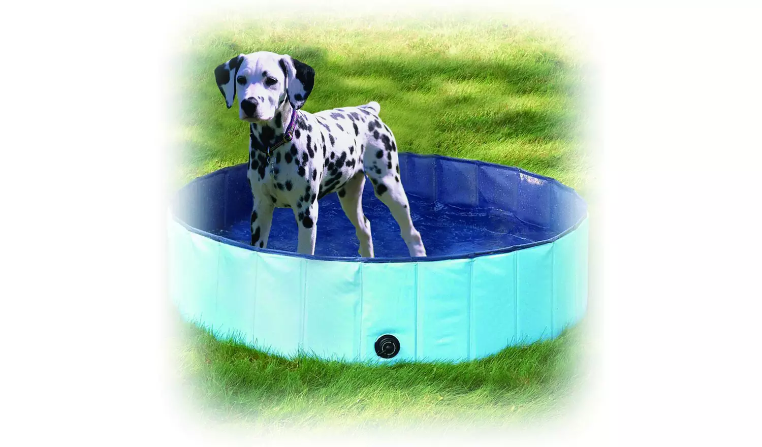 Dogs Sprinkler Cooling Mat & Paddling Pool - Image 4
