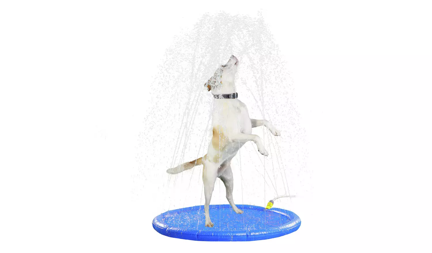 Dogs Sprinkler Cooling Mat & Paddling Pool - Image 5